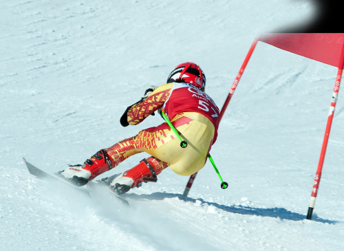 Ski FIS programa anual